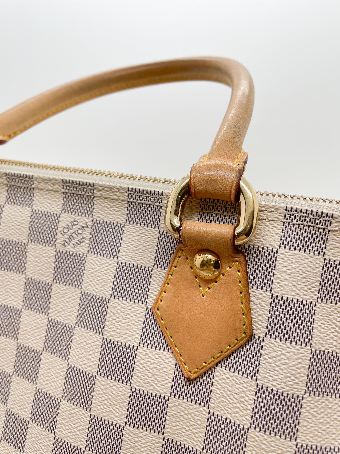 LOUIS VUITTON SALEYA TOTE