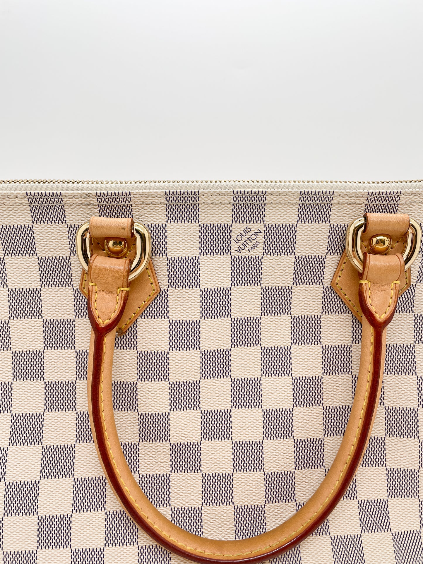 LOUIS VUITTON SALEYA TOTE
