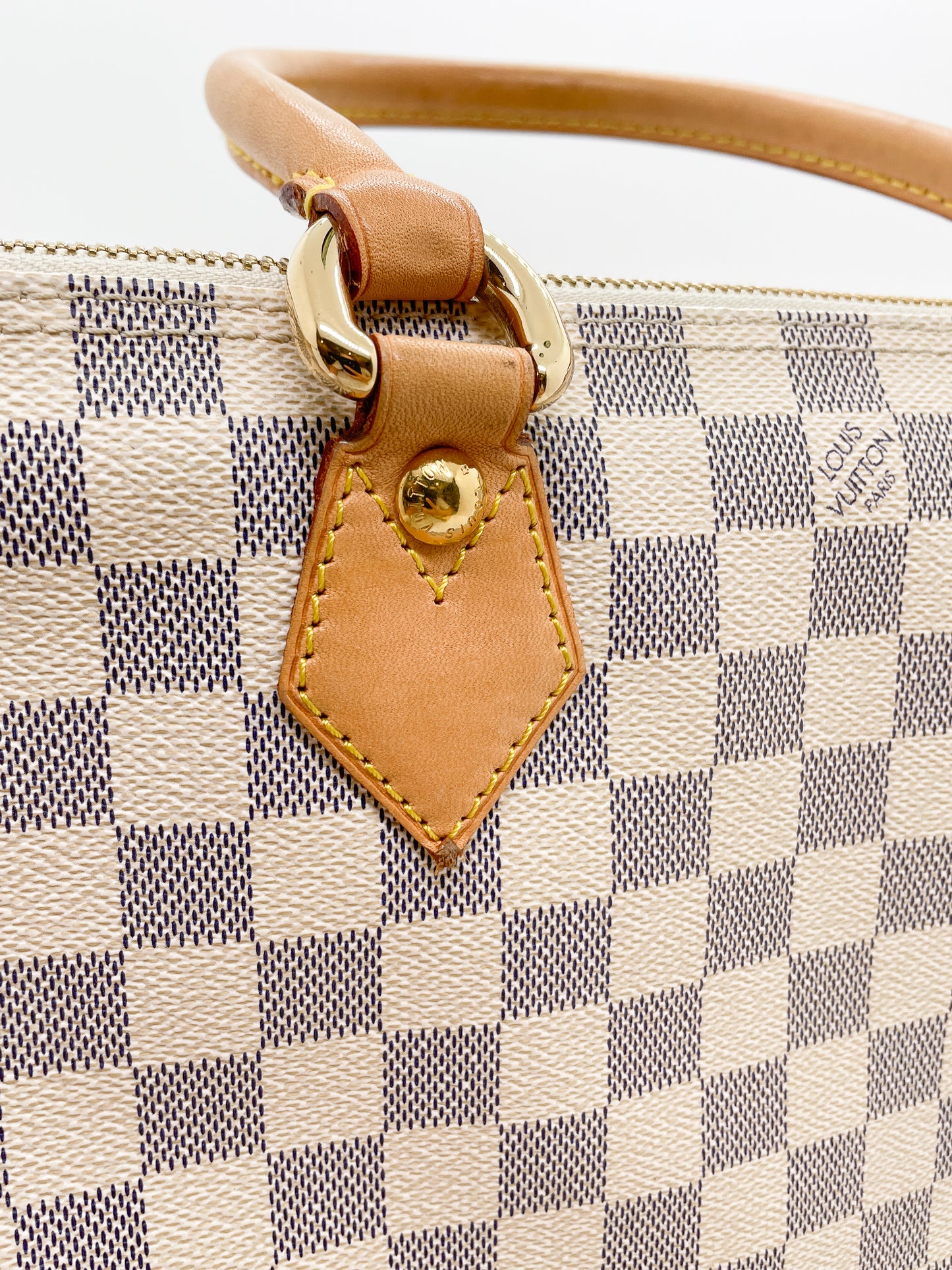 LOUIS VUITTON SALEYA TOTE