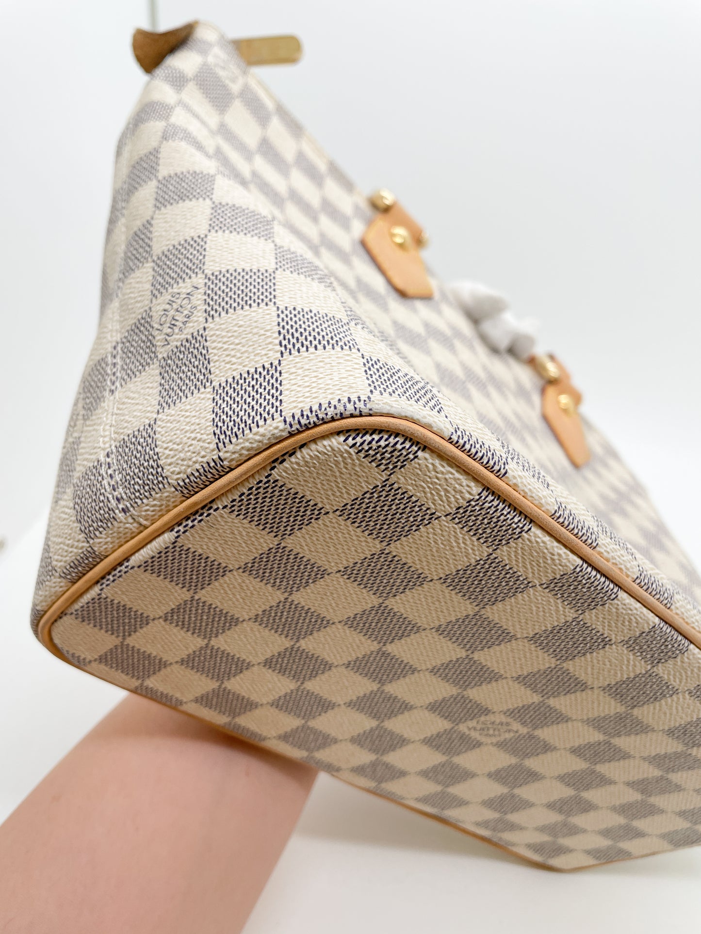 LOUIS VUITTON SALEYA TOTE