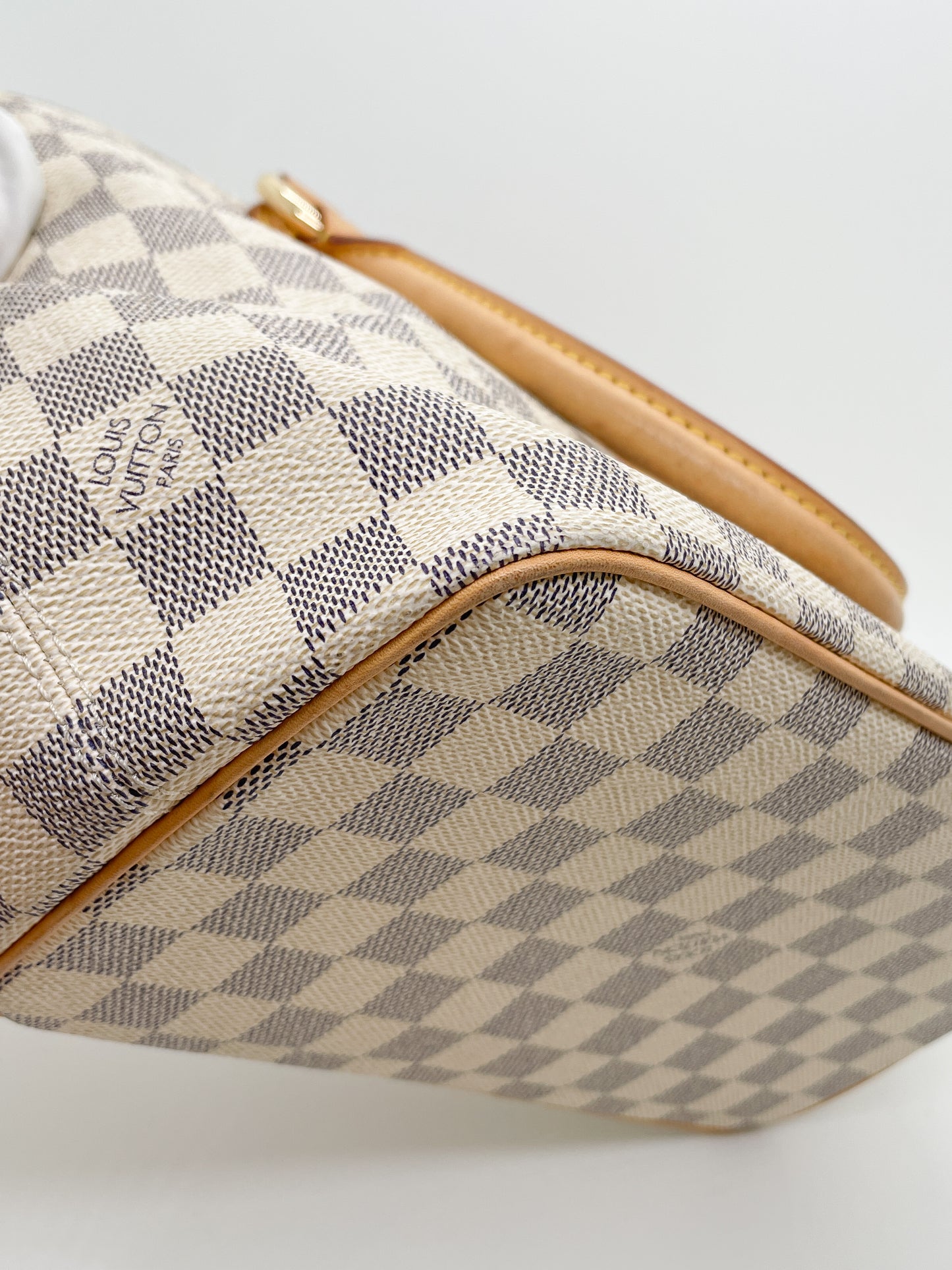 LOUIS VUITTON SALEYA TOTE