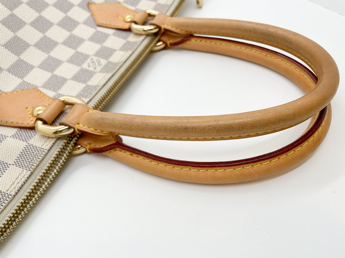 LOUIS VUITTON SALEYA TOTE