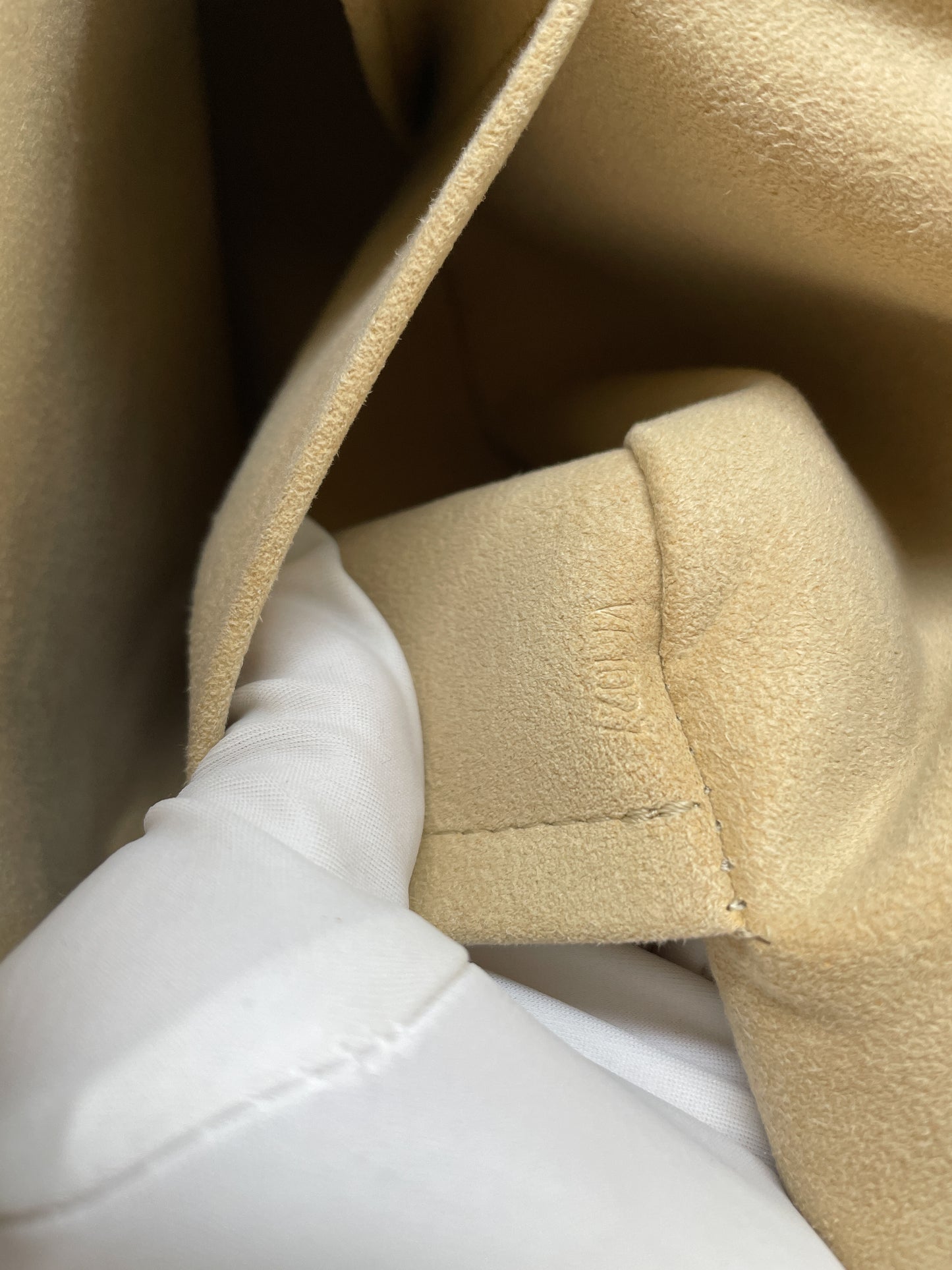LOUIS VUITTON SALEYA TOTE